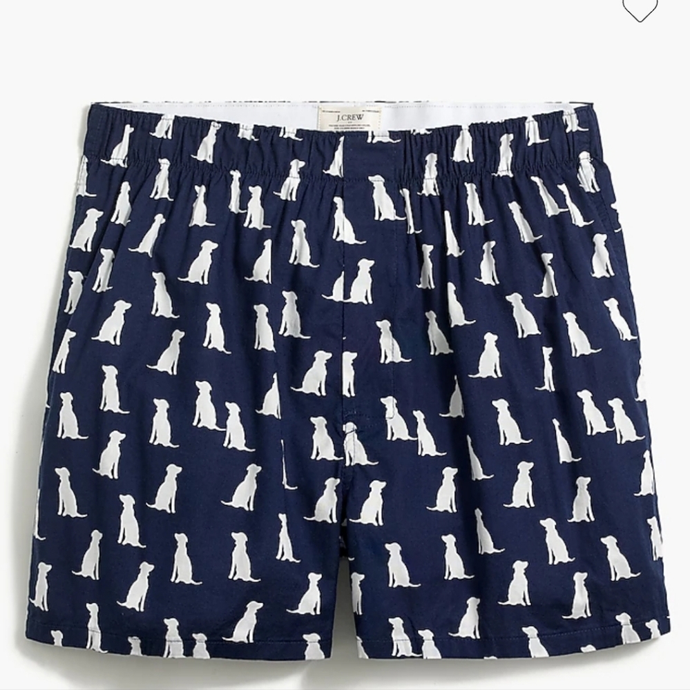 J Crew Factory Labs woven boxers, SZ L, NWT